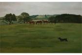 ZAEFFERER Adriana Horses Grazing ZAEFFERER Adriana Horses Grazing