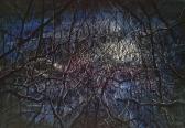 ZENG FANZHI Printgrass Series ZENG FANZHI Printgrass Series