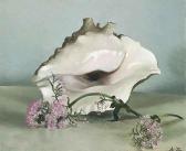 ZINKEISEN Anna Katrina A Conch Shell And Pinks ZINKEISEN Anna Katrina A Conch Shell And Pinks