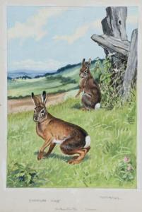 ABBOTT Jacob Bates 1895-1950,European hare and cottontail rabbit,1950,Quinn's US 2012-06-09