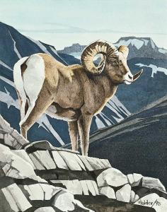 ABLETT William Albert 1877-1937,Untitled - Bighorn Sheep,1995,Levis CA 2024-03-09