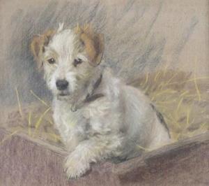 ACKLAND HUNT CECIL 1883-1959,A terrier puppy,Woolley & Wallis GB 2011-06-15