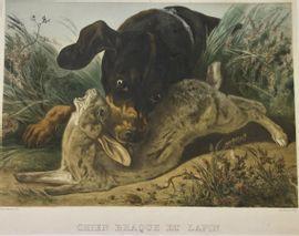 ADAM Albert 1833-1900,Chien Braque et le lapin Lithographie en couleur 5,Art Valorem FR 2021-07-06