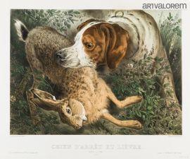 ADAM Albert 1833-1900,Chien d'arrêt et lièvre,Art Valorem FR 2021-11-22