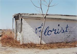 Adam Bartos 1953,County Rd. 80, (Florist), Southampton, N.Y.,2010,Sotheby's GB 2022-12-15