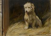 ADAM Jnr. Joseph Denovan 1870-1935,Study of a white Terrier,Bonhams GB 2008-02-12