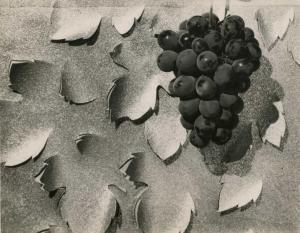 ADAM PIERRE 1894,La Grappe noire,1935,Millon & Associés FR 2014-09-30
