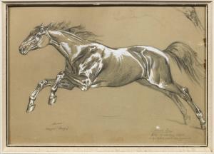 ADAM Richard Benno 1873-1937,Porträt des Hengstes "Amnerio",1895,Schloss DE 2024-04-27