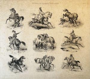 ADAM Victor Jean 1801-1866,Etudes de chevaux,Eric Caudron FR 2024-04-02