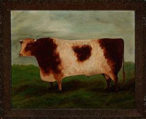 ADAMS Allan 1953,A primitive portrait of a short horn bull,Anderson & Garland GB 2008-09-02