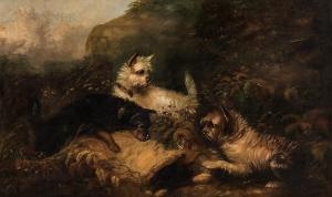 ADAMS George Gammond 1821-1898,Three Terriers in a Landscape,Skinner US 2021-07-29