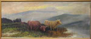 ADAMS Philip 1881,Studies of Highland Cattle,Cheffins GB 2018-04-26