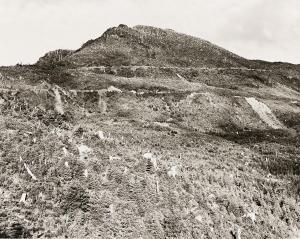 ADAMS Robert 1937,Clearcut and burned, east of Arch Cape,1976,Swann Galleries US 2024-02-15