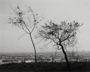 ADAMS Robert 1937,On Signal Hill, Overlooking Long Beach, California,2014,Sotheby's GB 2024-04-10
