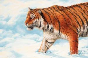 ADAMS Stephen 1953,Siberian Hunter - Male Siberian Tiger,1998,Christie's GB 1999-11-18