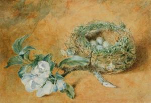 ADAMS 1800-1800,Still life - A nest of birds eggs with apple blossom,1880,Mallams GB 2012-03-09