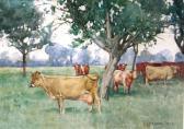 ADAMS William Dacre,Study of cows in a field beneath trees,1905,Moore Allen & Innocent 2011-04-28