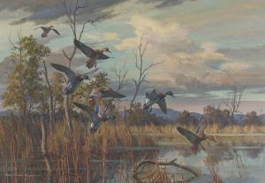 ADAMSON Harry Curieux 1916-2012,Ducks Landing on a Pond,Bonhams GB 2023-11-07