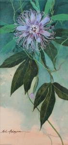 ADAMSON Neil,''Passion Flower'',20th Century,Burchard US 2017-08-20