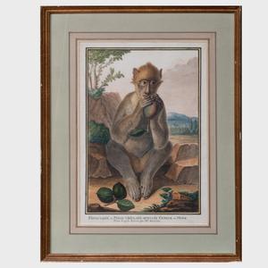 ADANSON Jean Baptiste 1732-1804,Singe varié,Stair Galleries US 2020-11-12