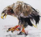 ADLINGTON Mark 1965,White tailed sea eagle,2001,Woolley & Wallis GB 2014-06-04