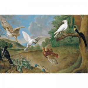 ADOLPH Carl 1700-1700,a landscape with a woodcock, partridge, bird of pa,Sotheby's GB 2003-07-10