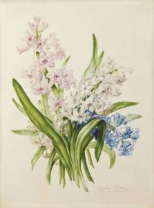 ADRIEN Marie Caroline 1845,Jacinthe rose, blanche et bleue,Christie's GB 2013-04-10