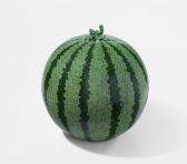 AI WEIWEI 1957,Ai Weiwei Watermelon,2006,Phillips, De Pury & Luxembourg US 2025-07-17