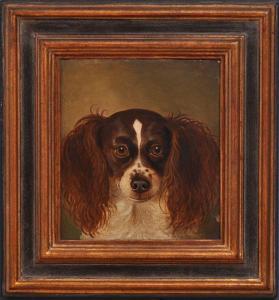 AIKEN Charles Avery 1872-1965,PORTRAITOF A KING CHARLES SPANIEL,Stair Galleries US 2010-06-26