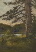 AITKEN Harry G. 1867-1952,Lone Pine in the North Woods Adirondaks.,Aspire Auction US 2013-03-22