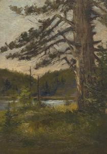 AITKEN Harry G. 1867-1952,Lone Pine in the North Woods Adirondaks,Aspire Auction US 2017-05-27