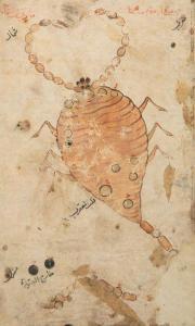 al Sūfi Abd al Rahmān 903-986,La constellation du scorpion,15th century,Millon & Associés 2019-06-17