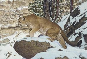 alan thom robert 1915-1980,Cougar in Antimony Canyon, Utah,1974,Christie's GB 2007-11-28