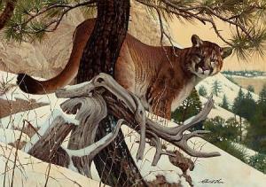 alan thom robert 1915-1980,Mountain Lion,1915,Heritage US 2013-05-11
