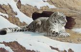 alan thom robert 1915-1980,Snow leopard,Christie's GB 2008-12-03