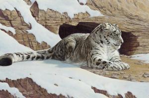 alan thom robert 1915-1980,Snow Leopard,Christie's GB 2007-11-28