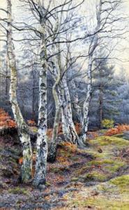 ALBERT Charles 1800-1900,'BirchTrees In Winter' Oxshott Common, Surre,Fieldings Auctioneers Limited 2008-05-17