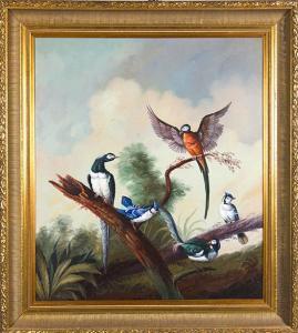 ALBERT Jeannine 1939,EXOTIC BIRDS,Charlton Hall US 2011-06-11