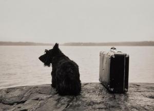 ALBRECHT Kristoffer 1961,Dog with Suitcase,1982,Bonhams GB 2019-12-17
