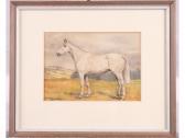 ALDERSON Elizabeth Mary 1900-1988,portrait of a grey horse on a hill,1934,Jones and Jacob 2016-04-13