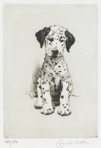 ALDIN Cecil 1870-1935,A Dalmatian puppy,Bonhams GB 2012-02-15