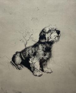 ALDIN Cecil 1870-1935,Portrait of 'Bobby' the Terrier,Duggleby Stephenson (of York) UK 2024-04-12