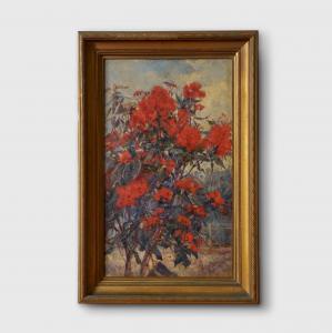 ALDIS Albert Edward 1869-1921,Red Flowering Gum,Bonhams GB 2023-04-23