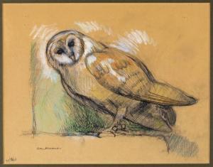 ALEXANDER Alan 1936,Study of an owl,Woolley & Wallis GB 2018-02-07