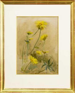 ALEXANDER Edwin John 1870-1926,YELLOW DAISIES,McTear's GB 2024-04-10