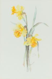 ALEXANDER Jo,STILL LIFE DAFFODILS,1990,Ross's Auctioneers and values IE 2024-04-17