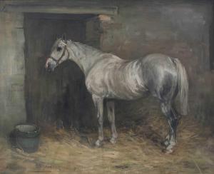 ALEXANDER Robert L. 1840-1923,Standing grey horse in a stable,1905,Tennant's GB 2022-07-16