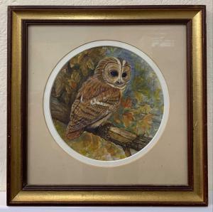 ALLEN James J,Tawny Owl,1980,Keys GB 2023-01-05