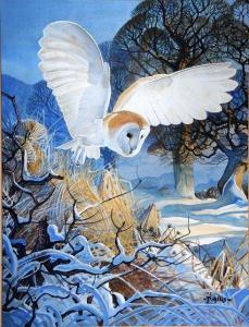 ALLIS Peter 1944,British 
A Barn Owl, in a snowy landscape,Rowley Fine Art Auctioneers GB 2010-02-23
