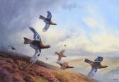 ALLIS Peter 1944,Covey of Grouse in flight,Tennant's GB 2020-09-19